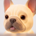 Illustration: close-up of the French bulldog night light's face, eyes, nose and tongue