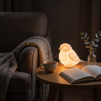 Illustration: the sparrow lamp glowing at night in a living-room reading nook beside an open book and tea
