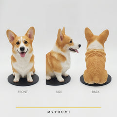 Illustration: front, side and back views of a pet figurine showing markings and fur texture