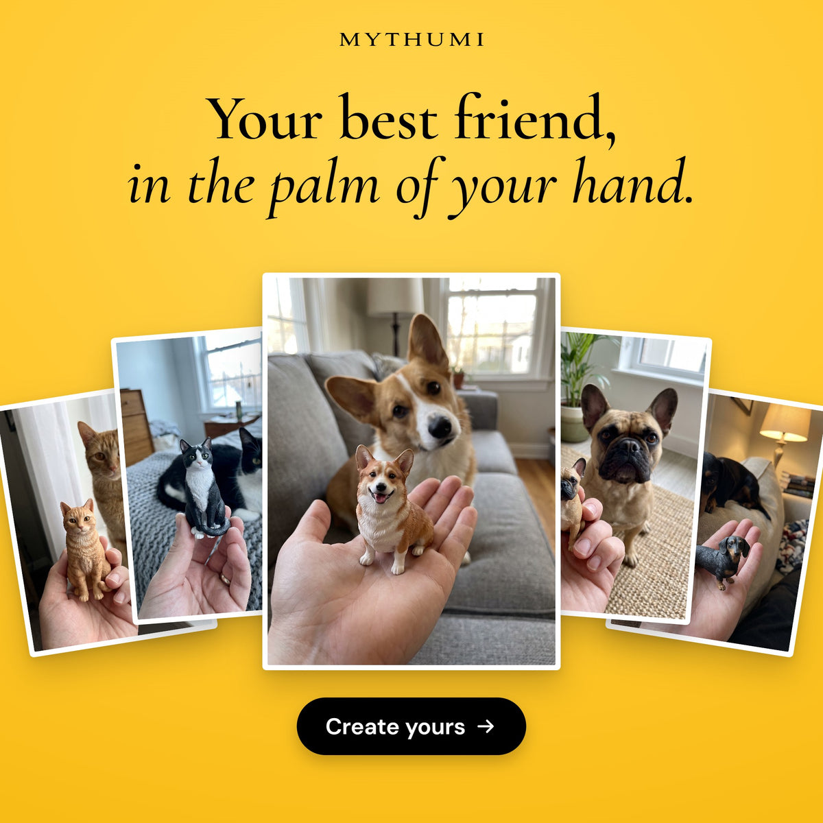 Illustration: pet figurines of a corgi, cats, a French bulldog and a dachshund, each held next to the real pet